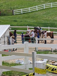 Pony arena at Rosies Ranch